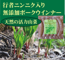 行者ニンニクは北海道や東北・関東の 高山地帯に自生する山菜で 強いニンニク臭とラッキョウに 似た形をしています。 ニンニクと...