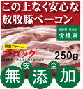 無添加ベーコンブロック250g■冷凍配送★抗生物質・ホルモン剤不使用★自然放牧飼育豚★北海道標津興農ファーム★安心なベーコン