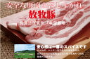 安全豚肉■放牧豚　ロース厚切り（2枚）とんかつ・ステーキ向け200g★国産（北海道厚真町・希望農場）★クール冷凍便配送★抗生物質・ホルモン剤不使用★放牧飼育★安心豚肉★無添加豚肉★薬不使用豚肉 2