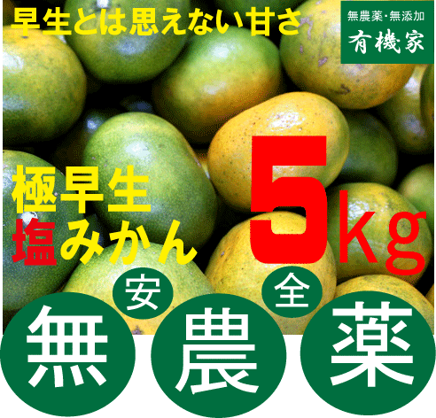 無農薬みかん・「極早生」熊本県岡島農園産・塩みかん5kg★ノーワックス★無農薬・無添加のサムネイル