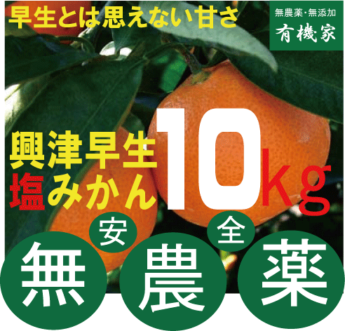 無農薬みかん・「興津早生」熊本県岡島農園産・塩みかん10kg★ノーワックス★無農薬・無添加のサムネイル