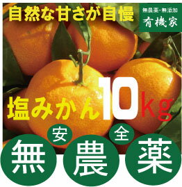 無農薬塩みかん・10kg★ノーワックス★熊本県岡島農園産★無農薬・無添加★11月中は早生みかんです。のサムネイル