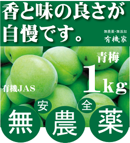 無農薬青梅1kg●6月中旬発送予定★有機JAS（無農薬・無添加）★国内産100％（和歌山・松本農園）★冷蔵配送