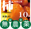 無農薬柿・和歌山の松本さんの柿10kg (約30〜40個)★10月上旬発送開始★有機JAS(無農薬・無添加)★オーガニック★5kg箱2個のお届けとなります。