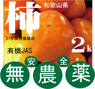 無農薬柿・和歌山の松本さんの柿2kg（約10個前後）★好評発送中！★有機JAS（無農薬・無添加）★オーガニックのサムネイル