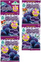 グレープグミ 20g×4袋 ★有機ブドウ果汁100%★国産てん菜糖&有機ぶどう果汁使用★ほどよい酸味と食感がクセになる♪★サンコー製★4個までネコポス便可