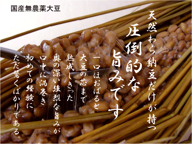 熊本 名産 南関あげ （小）（3枚入）×5個セット 熊本産 手づくり 伝統 技術 を生かした食品です。