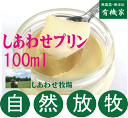 無添加プリン●しあわせプリン100ml★冷蔵配送★しあわせ乳...
