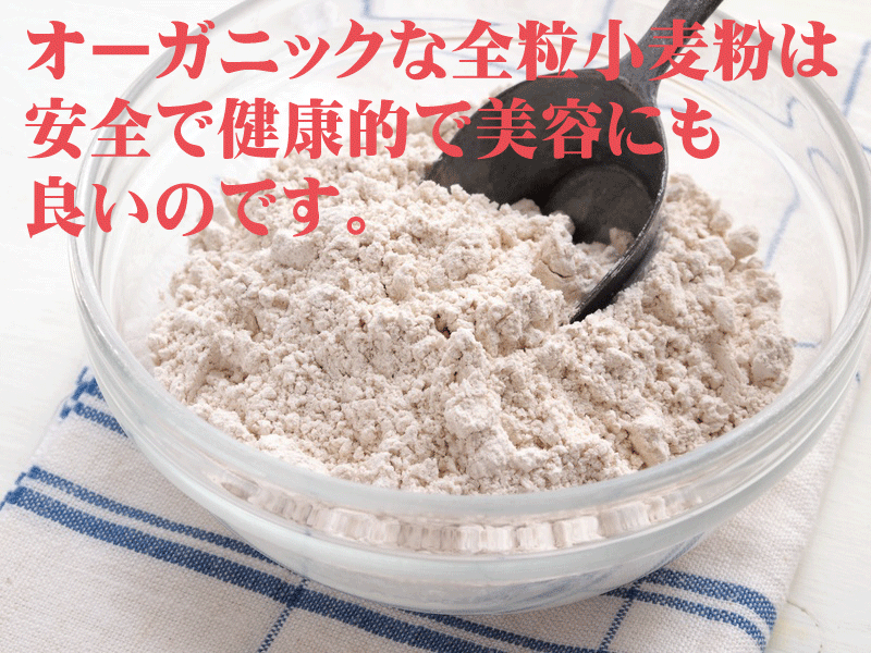 全粒粉★国内産有機小麦粉・全粒粉（中力粉）茶　500g★タンパク質は8.1%前後★有機JAS（無農薬・無添加）★国産100％★1個までネコポス便可