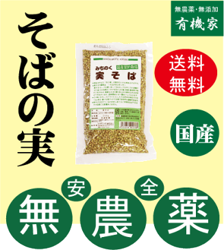 そばの実・実そば250g★送料無料（ネコポス便）★国内産100％（秋田・岩手産）★農薬不使用そば使用★オーサワジャパン