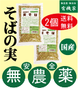 そばの実・実そば250g×【2個】★送料無料（ネコポス便）★国内産100％（秋田・岩手産）★農薬不使用そば使用★オーサワジャパン