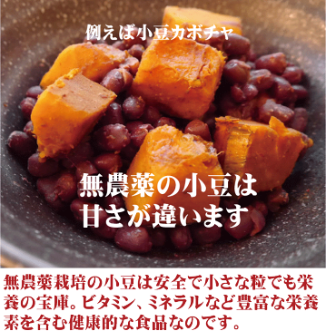 無農薬小豆(アズキ)200g★ネコポス便・ネコポス便可★国内産100%(北海道)★無農薬・無添加