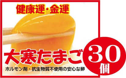 大寒たまご予約受付開始【30個】★2020年1月20・21日発送予定★小林養鶏農園★ホルモン剤抗生物質不使用★Lサイズ30個★大寒卵★2020年1月20日大寒の日★安心な卵