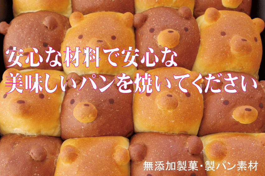 送料無料 オーサワジャパン オーサワの国産米粉 500g×20個