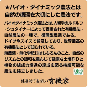 無添加カレールウ・スパイス香るカレールウ(中辛) 120g★小麦粉の代わりに玄米粉使用★動物性原材料不使用★オーサワジャパン■粉末タイプ ■1袋で5〜6皿分