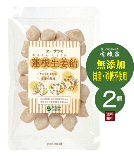 季節品 オーサワの蓮根生姜飴（切飴）100g【2個】★送料無料（ネコポス便・同梱不可）★国産100％★季節商品　10月より6月まで販売★オーサワジャパン