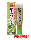 国産本わさび・国産生おろしわさび40g ★西洋わさび不使用★塩分は1g中0.062g★ワサビ・からし・生姜チューブ混載出来ます。★コンパクト便送料無料・1個です。