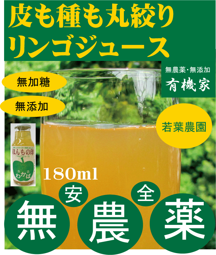 無添加りんごジュース180ml★若葉農