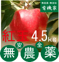 無農薬りんご「紅玉」4.5Kg~5kg★約18~25個前後★親子2代46年無農薬栽培・青森県「若葉農園」★土壌消毒・除草剤・化学農薬・化学肥料不使用★10月中旬