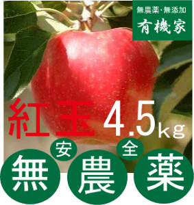 無農薬りんご「紅玉」4.5Kg〜5kg★約18〜25個前後★親子2代46年無農薬栽培・青森県「若葉農園」★土壌消毒・除草剤・化学農薬・化学肥料不使用★10月中旬