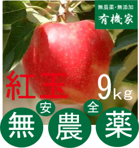 無農薬りんご「紅玉」9Kg～10kg★約36～50個前後★親子2代無農薬栽培・青森県「若葉農園」★土壌消毒・除草剤・化学農薬・化学肥料不使用★10月中旬