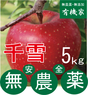 無農薬りんご「千雪」ちゆき5kg★親子2代無農薬栽培★青森県若葉農園★約20個★販売開始★10,000円のとろ8999円です。のサムネイル