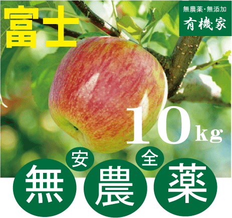無農薬りんご「富士」10kg★約40個前後★親子2代無農薬栽培・青森県「若葉農園」★土壌消毒・除草剤・化学農薬・化学肥料不使用★ワックス不使用のサムネイル