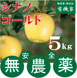 1月中旬発送・親子2代無農薬栽培・青森県「若葉りんご園」の「シナノゴールド」5kg（土壌消毒・除草剤・化学農薬・化学肥料不使用）のサムネイル