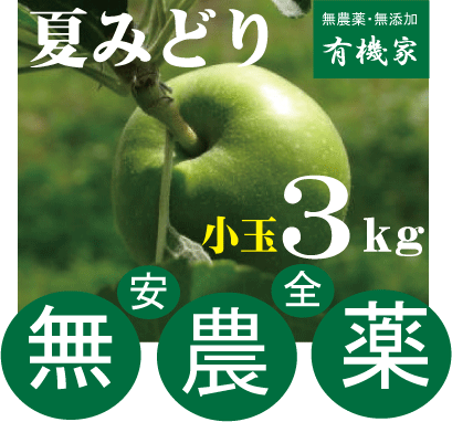 無農薬リンゴ・親子2代無農薬栽培青森県「若葉りんご園」の「なつみどり」小玉林檎3kg（土壌消毒・除草剤・化学農薬・化学肥料不使用・クール便）