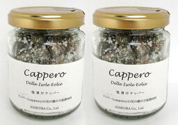 無添加シチリア産塩漬けケッパー（ビン）100g×2個★イタリア・オーガニック認証ICEA認定の原料です。加工を日本で行っている為、オーガニック認証マークは付いていません。