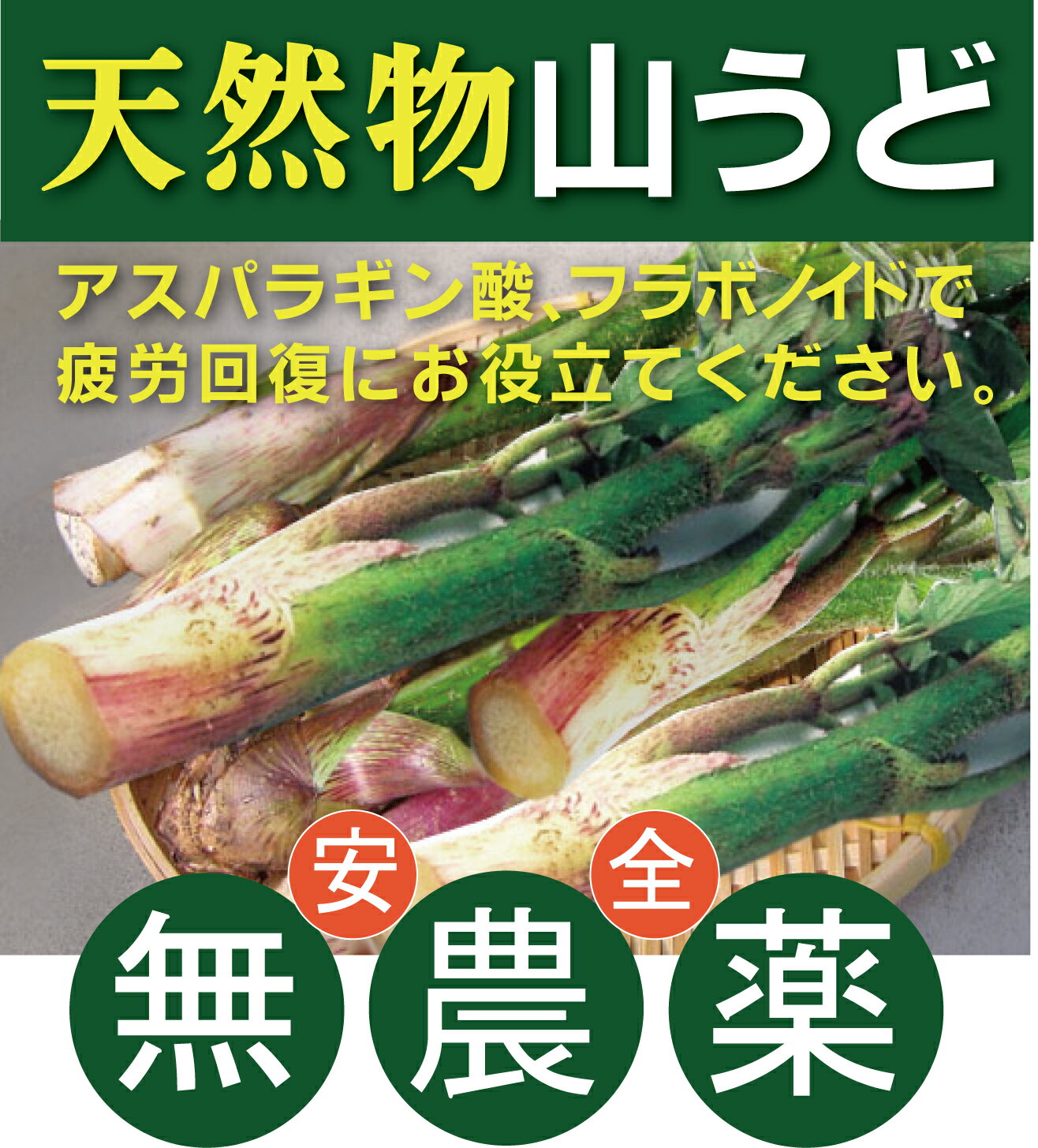 天然物　山うど 約150gパック★無農薬・無添加★岩手県産