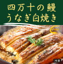 ◎生産者：加持養鰻場（高知県四万十市）は、「最後の清流」といわれる四万十川のほとりにあります。この四万十川で獲れた稚魚を、安全性と味にこだわって育てました。密飼いをせずのびのびと健康に育てていますので、天然物に負けないくらいの引き締まった身質で油がしつこくなく驚くほどのおいしさです。1尾約110〜120g [ 原材料 ]ニホンウナギ(養殖)(高知県四万十市産) [ 食べ方 ] 加熱してお召し上がり下さい。 生姜醤油やわさび醤油をかけてさっぱりシンプルに素材の味をお楽しみ下さい。 蒲焼、塩焼き、煮付け、酢の物などにもどうぞ。 [ 保存方法 ] 冷凍-18℃以下で保存して下さい。 ★開封前賞味期限：冷凍で180日のびのびとした環境で育つ為、身は弾力があり、天然うなぎと差がありません。 ★皮も柔らかくおいしく食べられるように、蒸しています。 ★加持さんのうなぎは、高知県・四万十川のしらすうなぎ（稚魚）を捕獲し、1年以上の歳月をかけて、地下水（深木川）の伏流水で大切に養殖しています。 ★こうして育てたうなぎの身はぷりっと弾力があり、天然に近いとご好評をいただいています。 ★安全でおいしいうなぎを召し上がっていただくために、薬剤は一切使わず、十分な運動をさせて育てています。