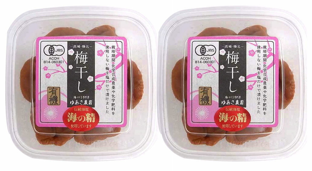 無添加 有機梅干し（白干し）120g×2個★自然海塩・海の精使用★群馬県産有機梅使用★有機JAS（化学農薬、化学肥料・除草剤一切不使用）★ゆあさ農園