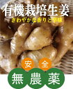 ●産地：高知県 ●有機栽培　しょうが 生産者：大地と自然の恵み（高知県香北町）　★有機JAS認証 新しょうがです。お野菜の発送は月曜日と金曜日のみとなりますのでご了承ください。