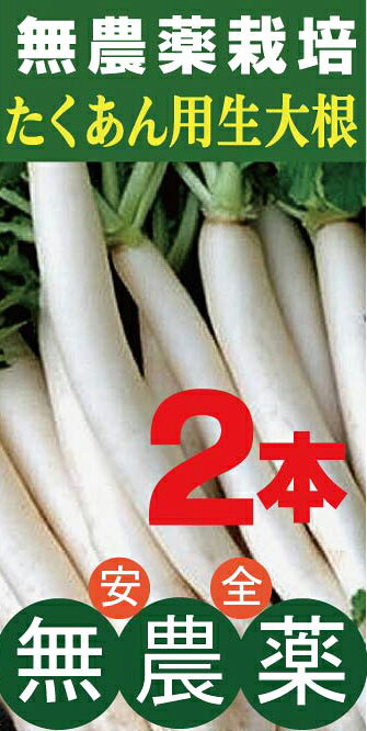 ̵纬纬2ܡ̵̵źáոʼۡʤѤͭ̾ʼǤˡ̤纬ȤƤȤޤ