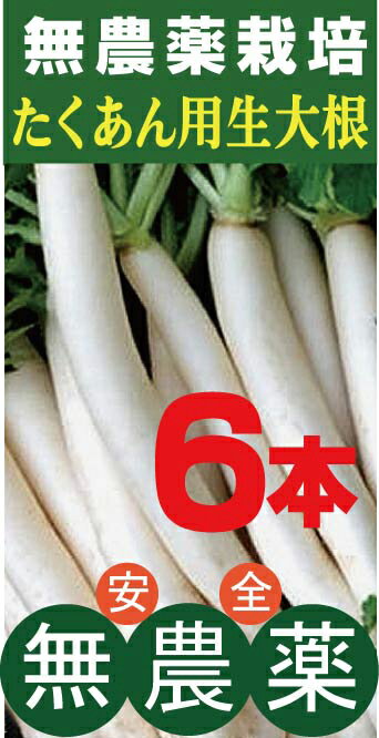 ̵纬纬6ܡ̵̵źáոʼۡʤѤͭ̾ʼǤˡ̤纬ȤƤȤޤ