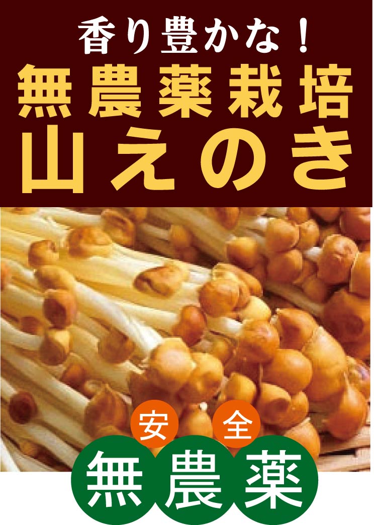 ブラウンえのき無農薬 山えのき90g×2パック★化学農薬・化学肥料・消毒薬不使用★新潟県産★ブラウンえのきとも言います。