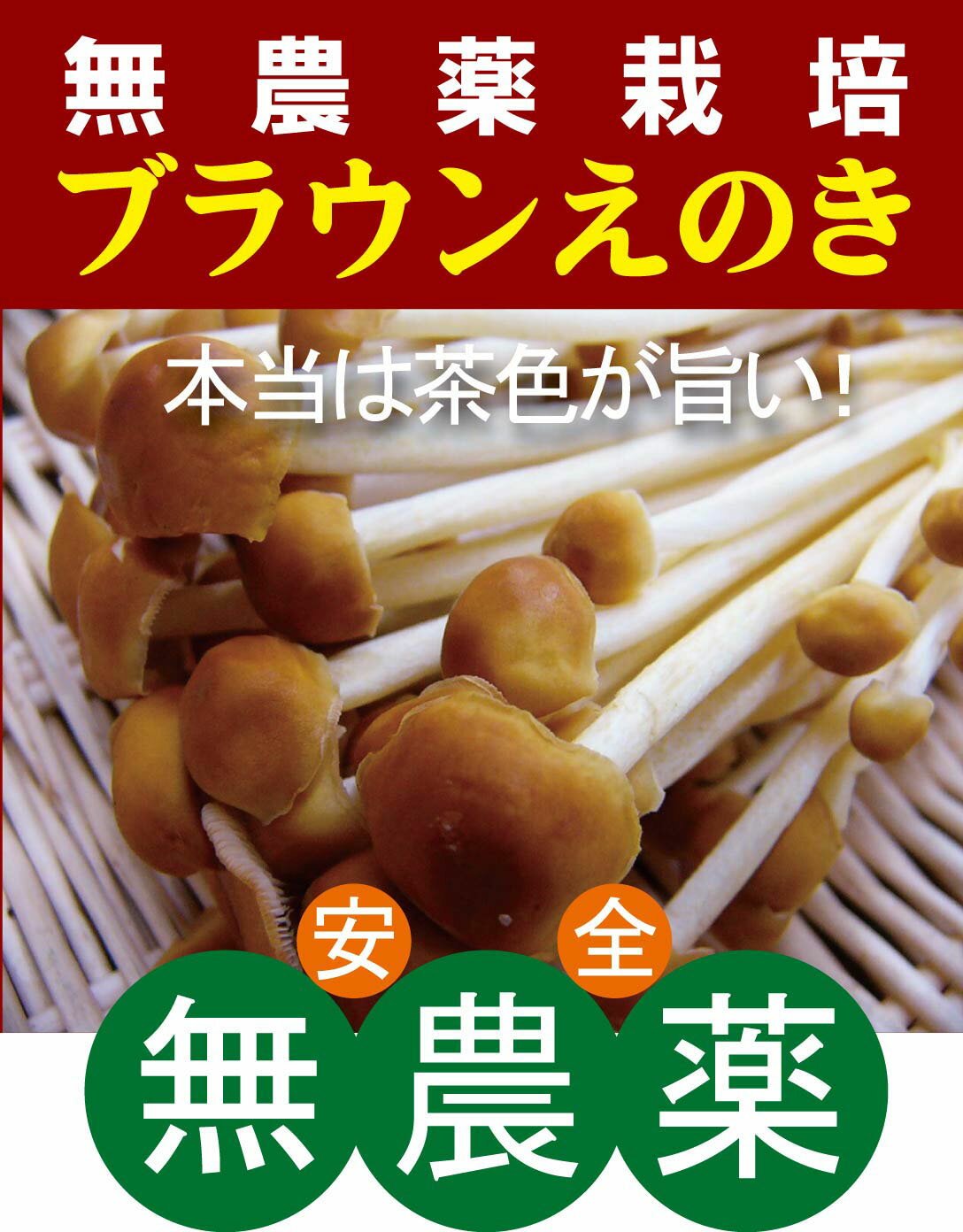 無農薬ブラウンえのき100g×1パック★化学農薬・化学肥料・消毒薬不使用★長野県産