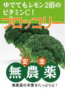 無農薬ブロッコリー1個パック（直径約10cm）★無農薬・無添加★長崎・千葉県産