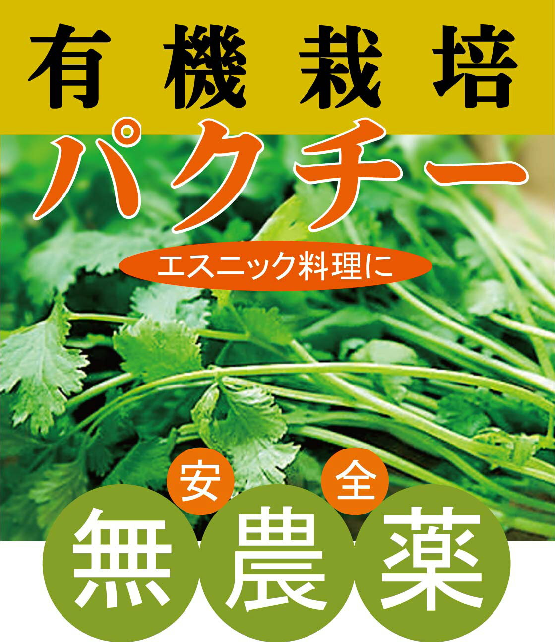 ◎生産者：フォーチャイルドファーム（千葉県山武市）有機JAS認証（無農薬・無添加）デトックス効果も。 パクチーはβカロテンを豊富に含み、体内でビタミンAに変換されます。 βカロテンには抗酸化作用があり、動脈硬化や高脂血症を予防し、 発癌抑制も期待できると言われています。 カルシウム、カリウム、鉄分、ビタミンA(カロテン)、ビタミンCなどが 多く含まれ、中でもカロテンの含有量が豊富です。 お野菜の発送は月曜日と金曜日のみとなりますのでご了承ください。