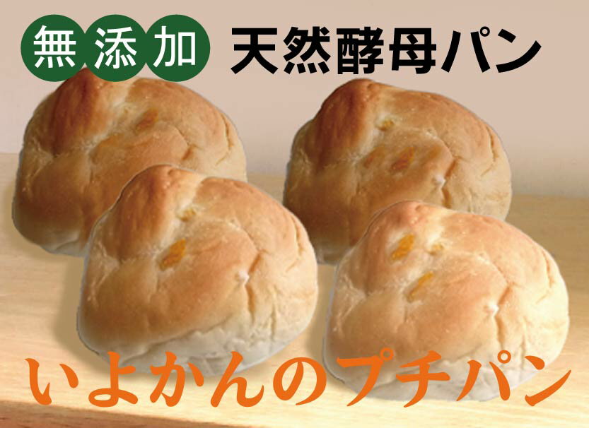 国産小麦粉 天然酵母パン無添加いよかんのプチパン(4個入)×1パック★かんきつ系の爽やかな香り★製造:ザクセン(東京都)★賞味期限:常温5日※お届け後は2日以内にお食べ下さい。