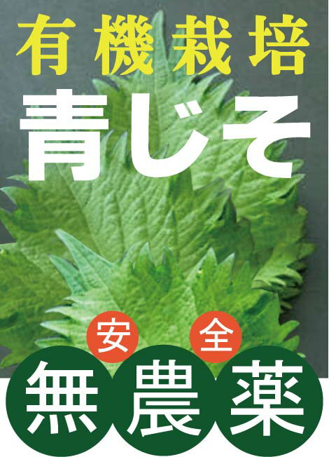 有機　青じそ1パック(10枚入）★広島県産★有機JAS★香り高く柔らかい食感の、夏に欠かせない大葉が始まり..