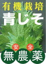 ◎生産者：出来商店（広島県東広島市・呉市など）有機JAS認証 農薬はもちろん、肥料も投入しない、土づくり。栄養たっぷりの青じそが育ちました。 香り高く柔らかい食感の、これからの季節に欠かせない大葉が始まりました！ ごわつきも無く、サラダでも美味しくいただけます。涼味で活躍、 青じそパワー。 夏の涼味に欠かせない青じそ。 ビタミンとミネラルが豊富に含まれています。 なかでも、カルシウム・β-カロテン ビタミンB2の多さは 野菜のなかでもトップクラスです。 食欲の落ちる時期に そうめん、冷奴、冷やし汁など サラッと食べられるお料理に パラパラッとかけて栄養補給。 夏バテにならない真夏の薬膳にぜひ！ お野菜の発送は月曜日と金曜日のみとなりますのでご了承ください。