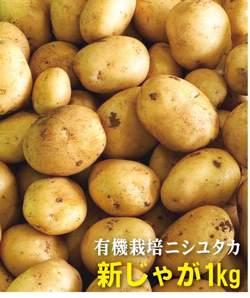 新じゃが　有機にしゆたか1kg★鹿児島県徳之島産★有機JAS★出始めの旬ですので、数量限定です。★芽止め処理無し★売切れの場合はご容赦ください。