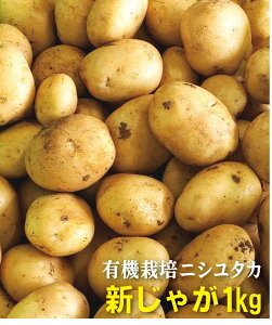 新じゃが　有機にしゆたか1kg★鹿児島県徳之島産★有機JAS★出始めの旬ですので、数量限定です。★芽止め処理無し★売切れの場合はご容赦ください。