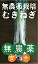 無農薬長ねぎ 剥き(むき)・葉切り300gパック(約2〜4本)★千葉産
