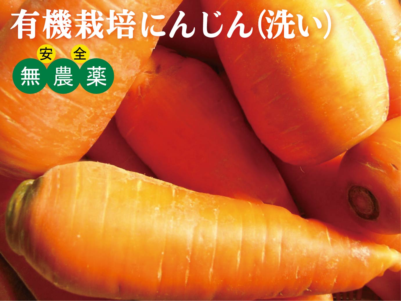 有機にんじん（洗い）1kg甘く、みずみずしい。千葉県産有機JASアクの少ないフレッシュな春堀のにんじん