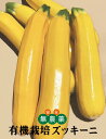 有機ズッキーニイエローズッキーニ2本(1本パック×2) ★有機JAS(無農薬・無添加)★山梨県産