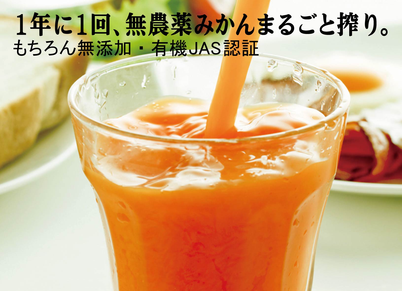 搾ったまんま国内産有機みかんジュース1000ml×2本★神奈川県湯河原 早藤果樹園 早藤さん手搾り（無農薬栽培・無添加）★ストレート果汁・1年に1回のみの製造です。