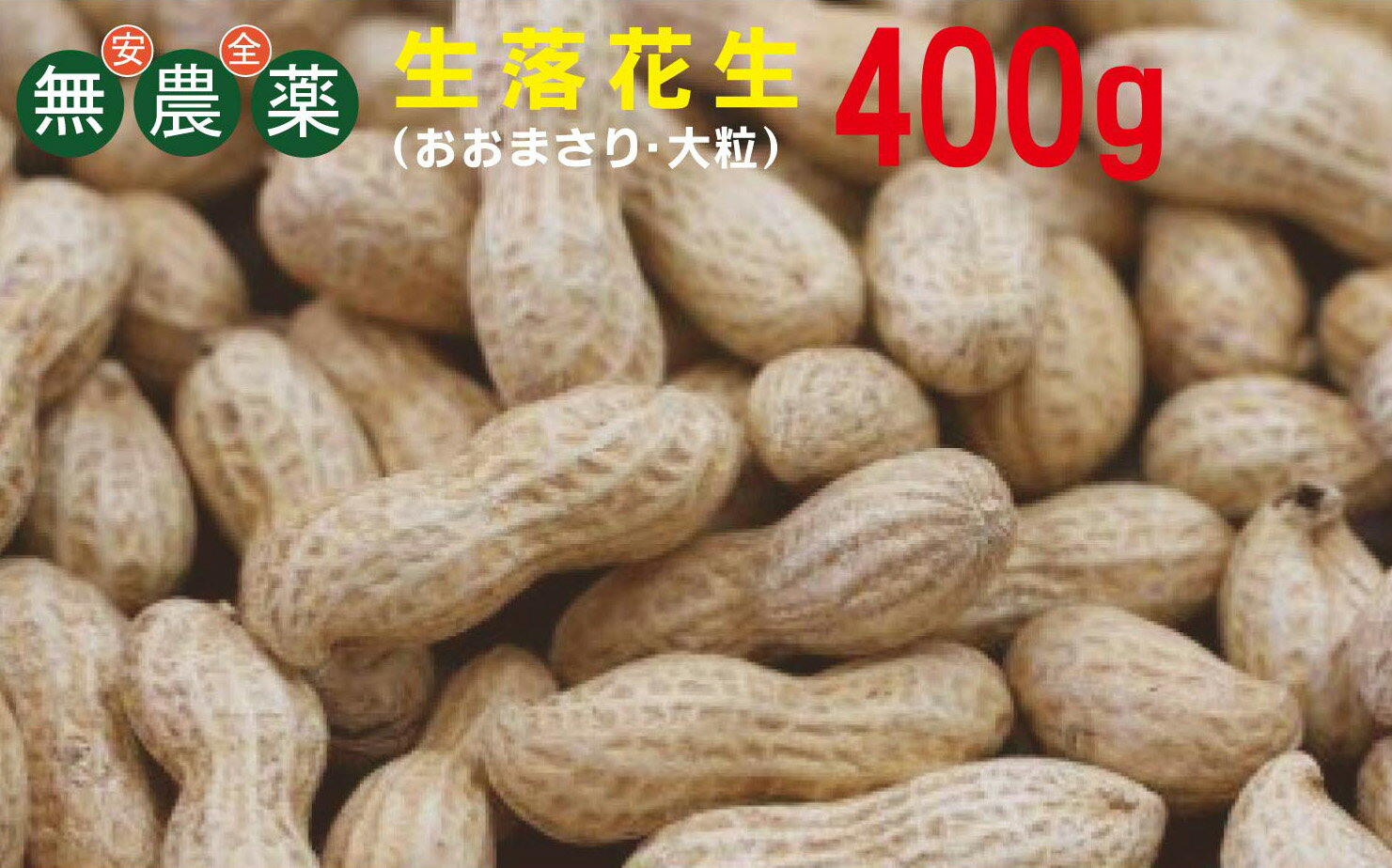 無農薬　生落花生（殻付き・大粒）200g×2パック★神奈川県産大粒品種の「おおまさり」★無農薬・無添加のサムネイル
